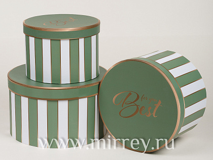 Набор коробок "Гламурные полосы", 25,5x15 см, 22x14,5 см, 19x13,5 см, 3 шт., зеленый