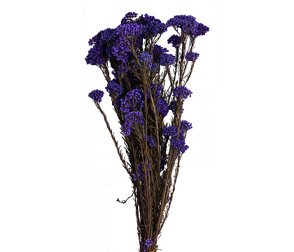 Сухоцвет "Рисовый цветок (Диосми)", длина 60-70 см, 3-5 веток/упак.,100 гр,  сиреневый