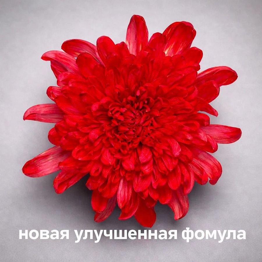 Краска для окрашивания живых цветов, цвет красный, #11, 0,300 л.
