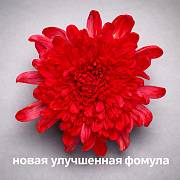 Доп. изображение товара