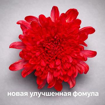 Краска для окрашивания живых цветов, цвет красный, #11, 0,300 л.