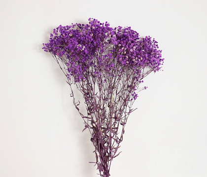Сухоцвет "Гипсофила", длина 70-80 см., 120 гр/упак., лавандовый.