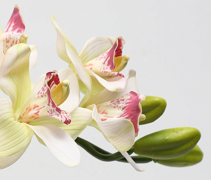 Цветок искусственный декоративный "Орхидея", 82 см., 8 соцветий, кремовый