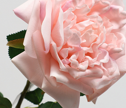 Цветок искусственный декоративный "Роза Остина", H65*D14 см., нежно-розовый