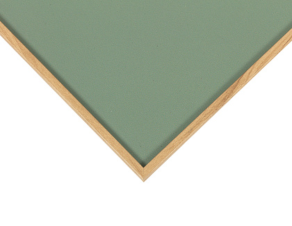 Набор постеров "Гербарий" 2 шт., рама пластиковая, 40,6x30,6x3