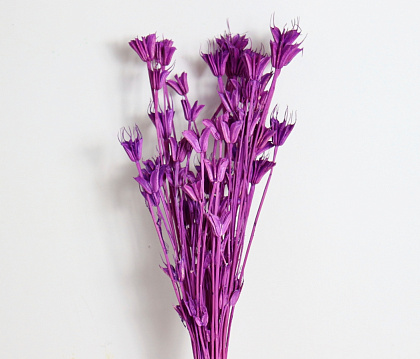 Сухоцвет "Нигелла", длина 70 см, 40-50 гр., фиолетовый