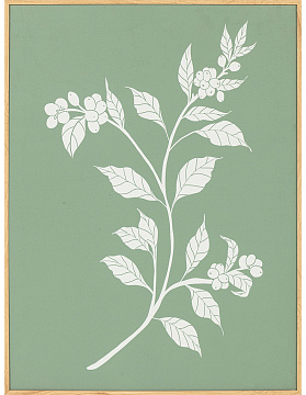 Набор постеров "Гербарий" 2 шт., рама пластиковая, 40,6x30,6x3