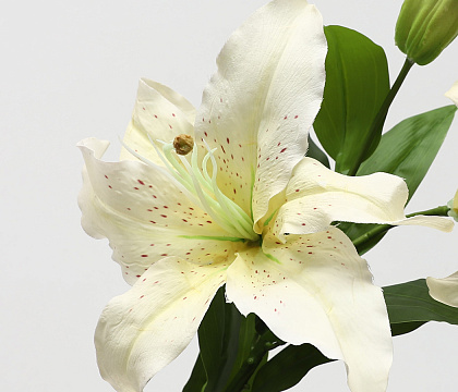 Цветок искусственный декоративный "Лилия", H93*D25 см., слоновая кость