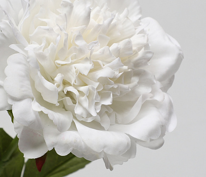 Цветок искусственный декоративный "Пион", H56*D14 см., кремовый