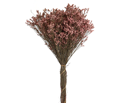 Сухоцвет "Каспия", 120 гр/упак. розовый