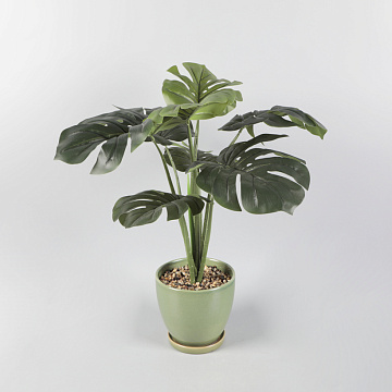 Искусственное растение "Монстера" в керамическом горшке, 22*67см.