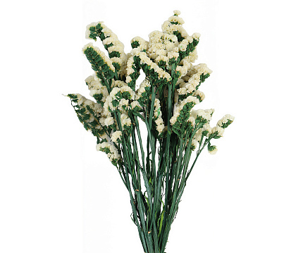 Сухоцвет "Статица", 120 гр/упак. белый