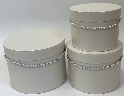 Набор коробок с ручкой 19,7x14,5 см, 17,2x13 см, 14,6x11,3 см, белый