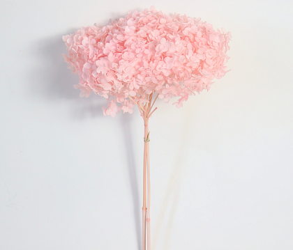 Сухоцвет "Гортензия" длина 60-70 см, диаметр цветка 20 см, 40-60 гр., светло-розовый