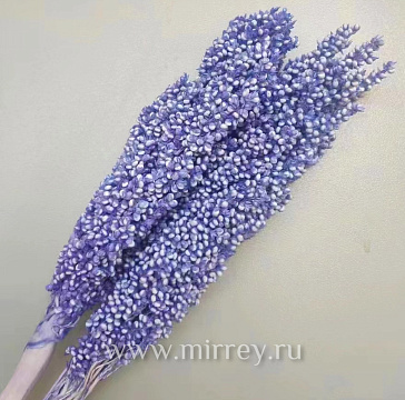  Сухоцвет "Сорго", длина 70-80 см, 130-180гр/упак.св.сиреневый
