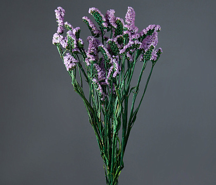 Сухоцвет "Статица", 120 гр/упак., лавандовый