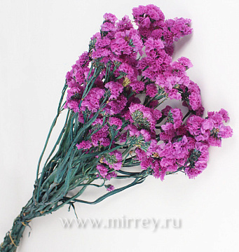  Сухоцвет "Статица", 120 гр/упак., сиреневый