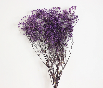 Сухоцвет "Гипсофила", длина 70-80 см., 120 гр/упак., сиреневый.