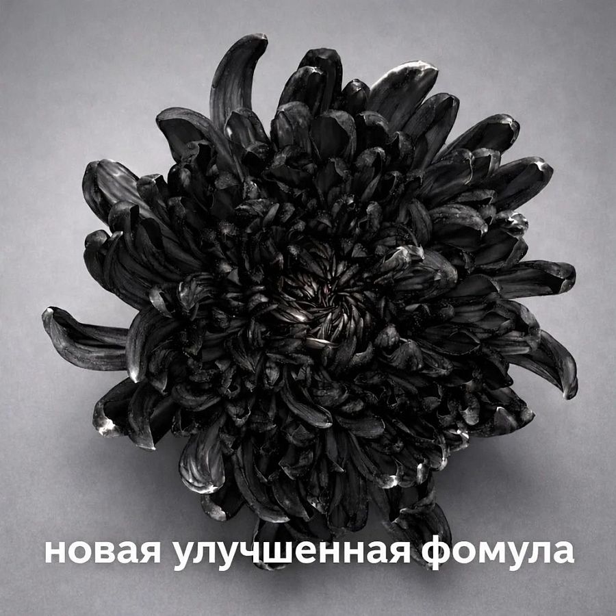 Краска для окрашивания живых цветов, цвет черный, #33, 0,300 л.