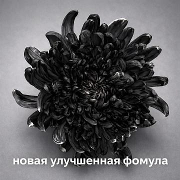 Краска для окрашивания живых цветов, цвет черный, #33, 0,300 л.