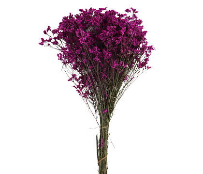 Сухоцвет "Каспия", 120 гр/упак. фуксия