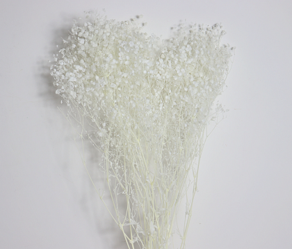 Сухоцвет "Гипсофила", длина 70-80 см., 120 гр/упак., выбеленный белый.