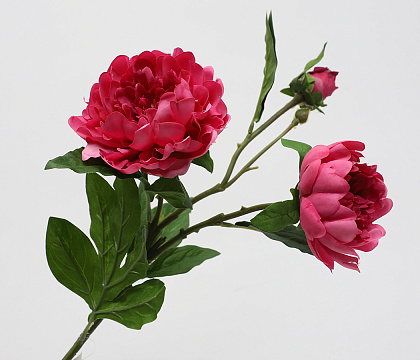 Цветок искусственный декоративный "Пион", 75 см., фуксия