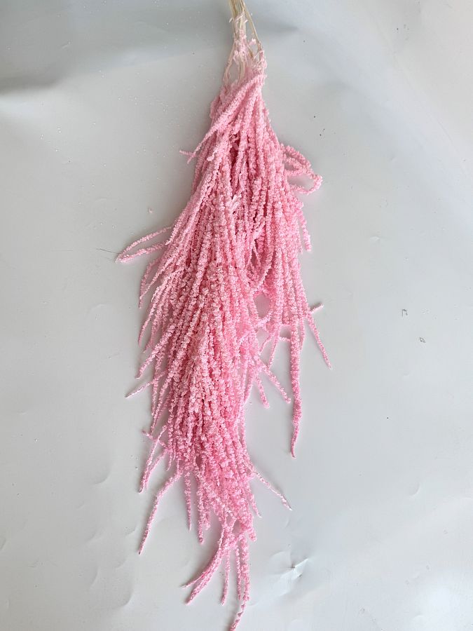 Сухоцвет "Амарантус", длина 70-100 см, нежно-розовый