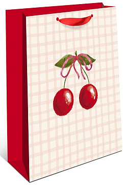 Сумка подарочная, размер: 18х22,3х10 см. в упак. 6 шт.