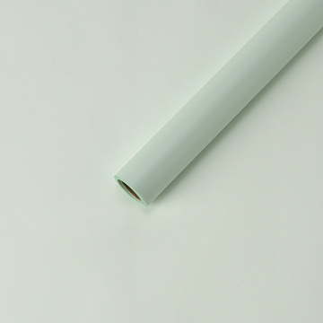 Упак. материал флористическая пленка "PASTEL new", 60 см*10 м, пастельно-зеленый