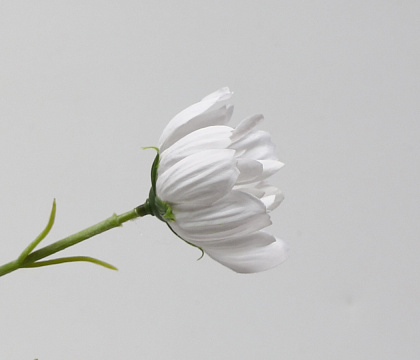 Цветок искусственный декоративный "Мак", 70 см., белый