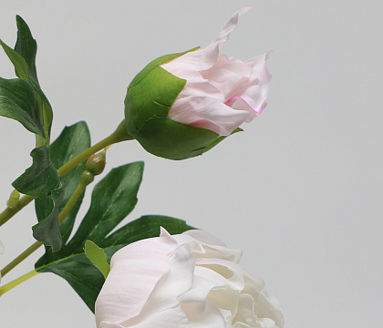 Цветок искусственный декоративный "Пион", 80 см., кремовый