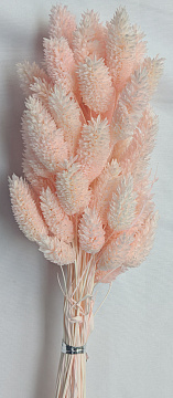 Сухоцвет "Фаларис", длина 60-70 см, 50 шт. светло-розовый