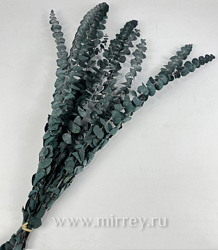  Сухоцвет "Эвкалипт Бэби Блю", длина 60-65 см, 10 шт./упак., пыльно-зеленый.