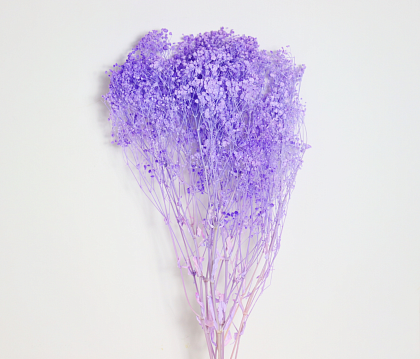Сухоцвет "Гипсофила", длина 70-80 см., 120 гр/упак., выбеленный сиреневый