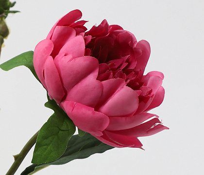 Цветок искусственный декоративный "Пион", 75 см., фуксия