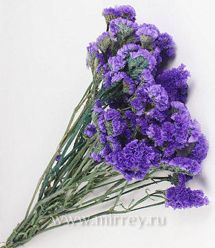  Сухоцвет "Статица", 120 гр/упак., фиолетовый