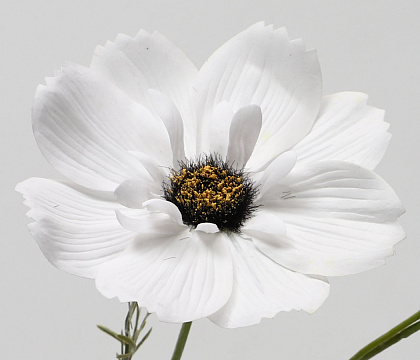 Цветок искусственный декоративный "Мак", 70 см., белый
