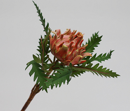 Цветок искусственный декоративный "Артишок", H52*D10*8 см., красно-оранжевый