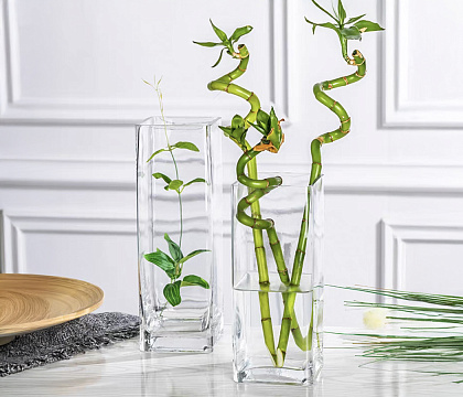 Ваза стеклянная D11 * H28, 1 шт.,прозрачный