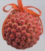 Доп. изображение товара