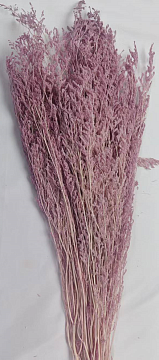 Сухоцвет "Лимониум", длина 70-80 см, 3-5 веточки, 100 гр, светло-сиреневый.