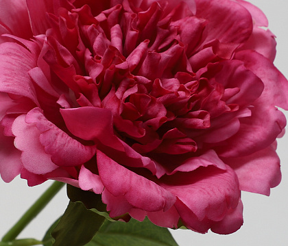 Цветок искусственный декоративный "Пион", H56*D14 см., фуксия