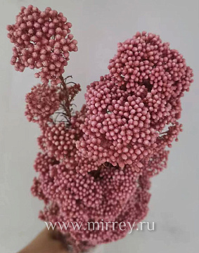 Сухоцвет "Рисовый цветок (Диосми)", длина 60-70 см, 3-5 веток/упак.,100 гр,  св.розовый