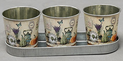 Набор декоративных кашпо на подносе "На столе в саду" кашпо: 8XH8CM, поднос: 23X8XH2/8CM, металл