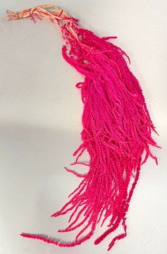 Сухоцвет "Амарантус", длина 70-100 см, фуксия