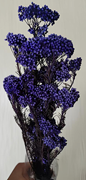 Сухоцвет "Рисовый цветок (Диосми)", длина 60-70 см, 3-5 веток/упак., 80 гр, сиреневый