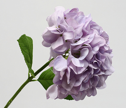 Цветок искусственный декоративный "Гортензия", H60*D24 см., сиреневый