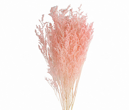 Сухоцвет "Лимониум", длина 60-80 см, 100 гр., светло-розовый