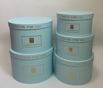 Набор коробок 32x21 см, 29,8x19 см, 27,5x17 см,  25,5x15 см, 23,5x13 см, 5 шт., голубой